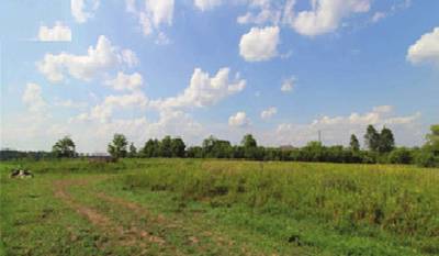 FARM LAND FOR LEASE IN PICKERING