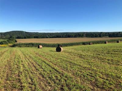 56+ Acre Farm Land for Sale in Port Hope