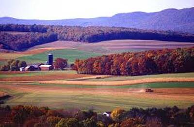 Farmland With 3 Houses for Sale