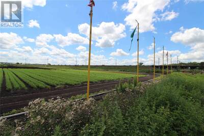 FARMLAND FOR RENT IN BRADFORD WITH GREAT EXPOSURE