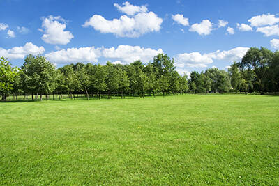 16.5 Acres Land for Sale in Caledon -16 mil