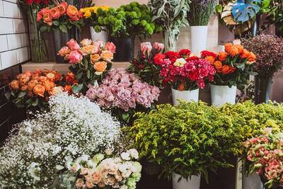 Flower Shop for Sale in Toronto