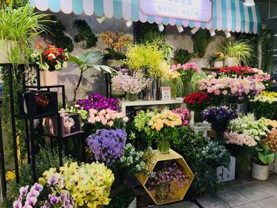 Flower Shop for Sale in Toronto