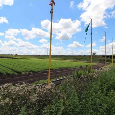 Farm for Lease in Bradford