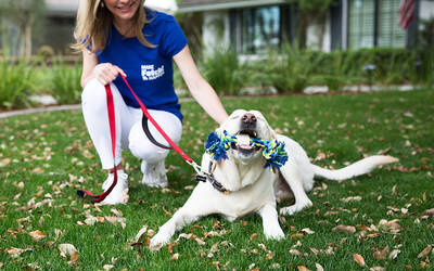 Fetch! Pet Care Franchise Opportunity, USA