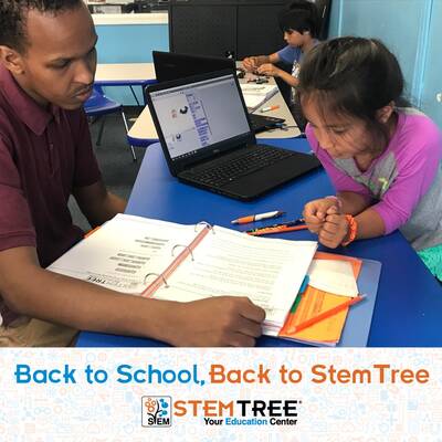 Stemtree Franchise for Sale