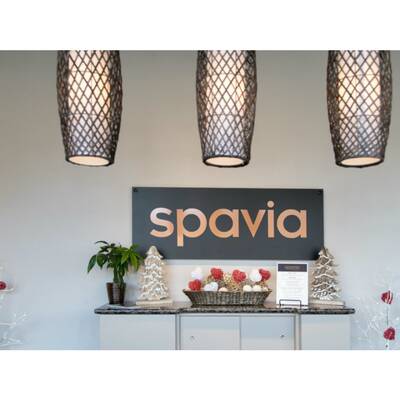 Spavia Day Spa Franchise for Sale