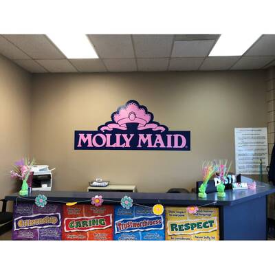 Molly Maid Franchise for Sale