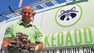 Skedaddle Humane Wildlife Control Franchise Opportunity, USA