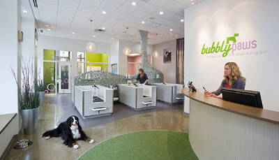 Bubbly Paws Franchise Opportunity
