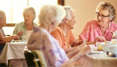 Bridge to Better Living Senior Services Franchise Opportunity