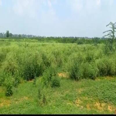 Developmental Land for Sale Near GTA