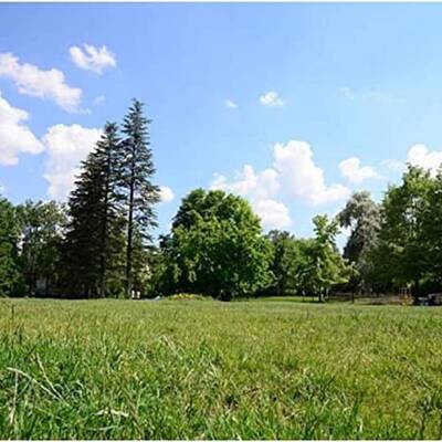 32 Acres Land for Sale Near Brampton