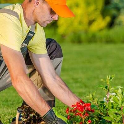 Landscaping & Maintenance Business For Sale, Dallas TX