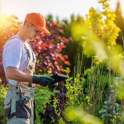Landscaping & Maintenance Business For Sale, Dallas TX