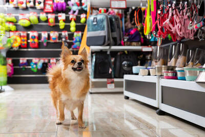Pet Store Business For Sale In Dallas, TX