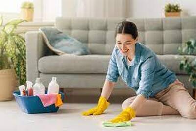 Eco-friendly Cleaning Franchise Business For Sale, Denton County TX