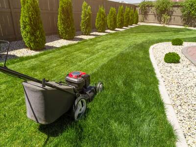 Lawn Care Company for Sale in Lucas, TX