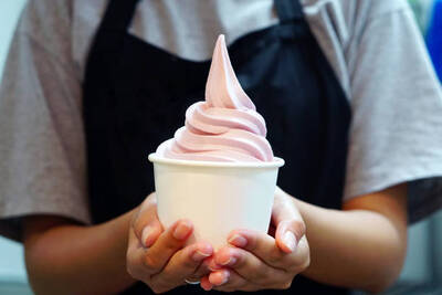 Frozen Yogurt Franchise For Sale, Houston TX