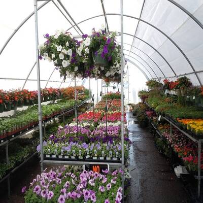 Highly Profitable Retail Nursery and Garden Center for Sale in Dallas County, TX