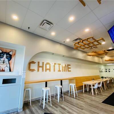 Established Chatime Franchise For Sale, Winnipeg MB