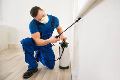 Profitable Pest Control & Related Services Business For Sale, Orange County CA