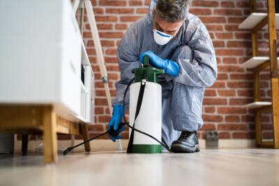 Profitable Pest Control & Related Services Business For Sale, Orange County CA