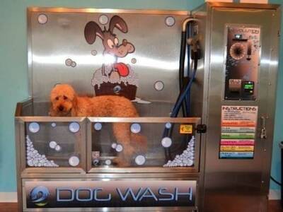 Self Serve Dog Wash & Full Service Dog Grooming For Sale, Los Angeles County CA