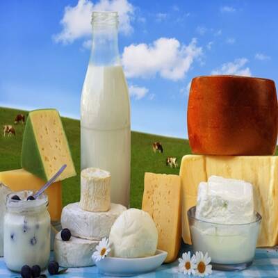 Dairy Distribution Business for Sale in GTA