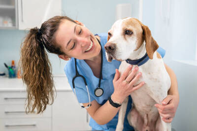 Established Animal Hospital For Sale, Chicago IL