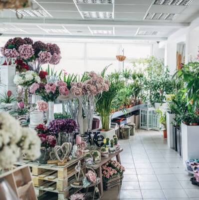 Established Flower Shop Boutique For Sale, Berkeley CA