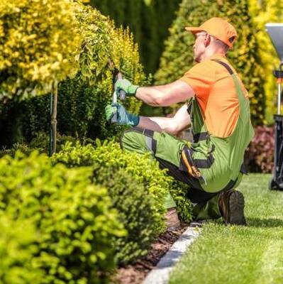 Established Landscaping Company For Sale, Salt Lake County UT