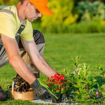 Established Landscaping Company For Sale, Salt Lake County UT