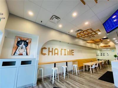 Master Franchise of Chatime For Sale In Winnipeg, Manitoba