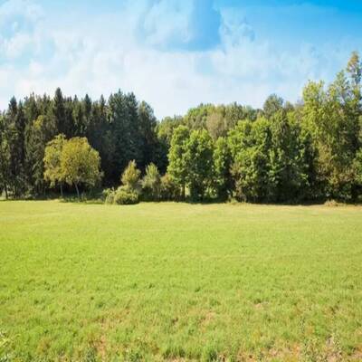 Vacant Land for Sale in Winnipeg, Manitoba