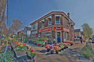 Florist Shop with Building in Brantford