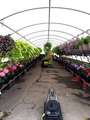 Florist Shop with Building in Brantford