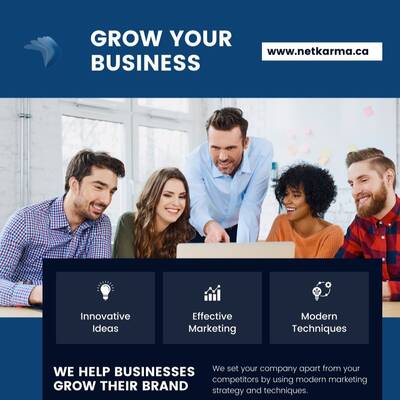 Government Guaranteed Business Loans - Net Karma