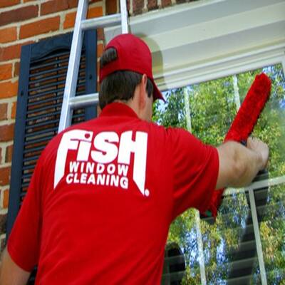Fish Window Cleaning Franchise for Sale