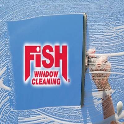Fish Window Cleaning Franchise for Sale