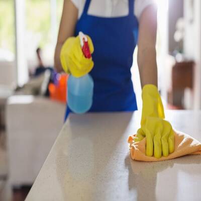 Molly Maid Home Cleaning Franchise For Sale