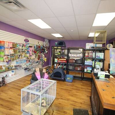 PET GROOMING, SPA, PET FOOD FOR SALE IN CAMBRIDGE