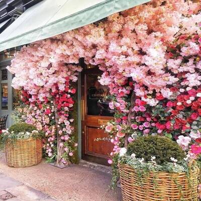 FLOWER SHOP FOR SALE IN UPTOWN TORONTO