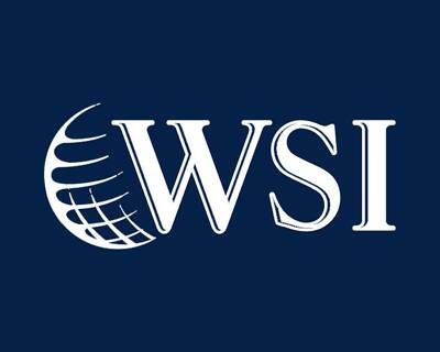 WSI - Digital Marketing Franchise Opportunity