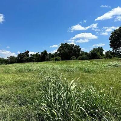 33.47 Acres of Vacant Land for Sale in Innisfil, ON