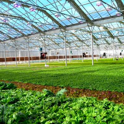Greenhouse for Sale in Beamsville, ON