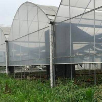 Greenhouse for Sale in Beamsville, ON