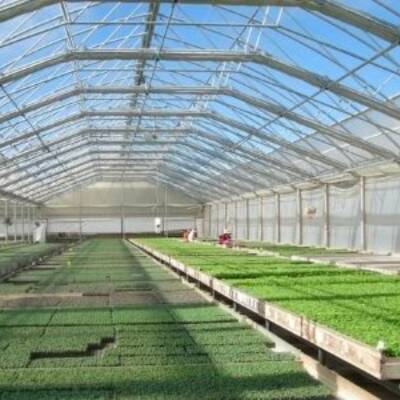 Greenhouse for Sale in Beamsville, ON