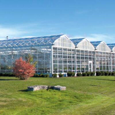 Greenhouse on QEW For Lease in Ontario