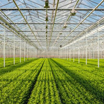 Greenhouse on QEW For Lease in Ontario